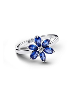 Anillo en plata de ley Herbario Brillante Azul​ 2