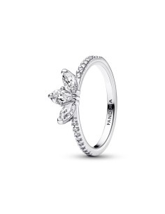 Anillo en plata de ley Herbario Brillante 
