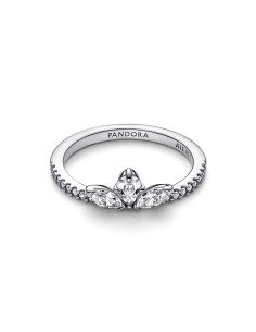 Anillo en plata de ley Herbario Brillante  2