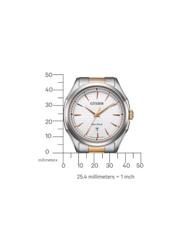 Reloj Citizen Elegant AW1756-89A - Diseño Bicolor y Tecnología Eco Drive | SM Joyeros