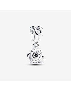 Charm Pandora de plata
