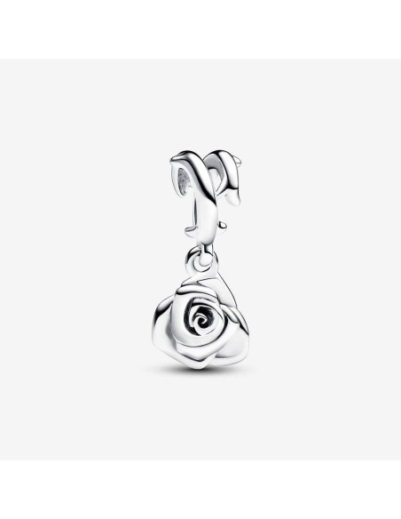 Charm Pandora de plata