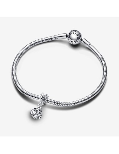 Charm Pandora de plata