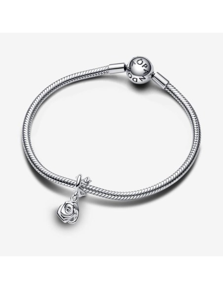 Charm Pandora de plata