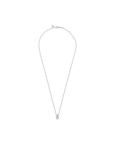 Collar en plata de ley Colgante Doble Corazón Brillante