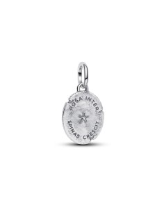 Charm talismán rosa y abeja – plata de ley y baño de oro con “Rosa inter spinas crescit” 2