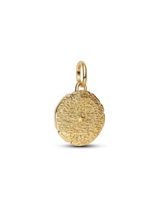 Talisman León en baño de oro 14 k – “Vita Veritas Virtus” 2