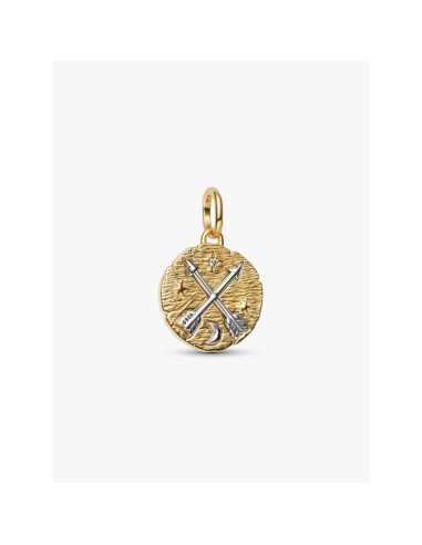 Medallón Pandora ME “Flechas Cruzadas” – Plata y Oro 14 k 764081C01