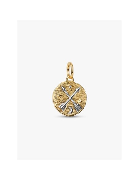 Medallón Pandora ME “Flechas Cruzadas” – Plata y Oro 14 k 764081C01