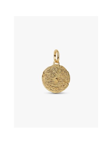 Medallón Pandora ME “Flechas Cruzadas” – Plata y Oro 14 k 764081C01