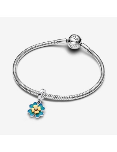 Charm Pandora de plata