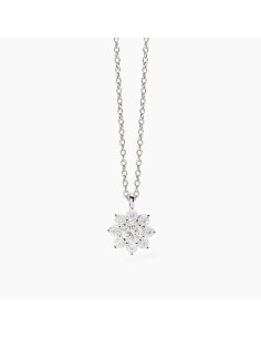 Collar de plata con colgante de girasol en circonitas | Colección Eden