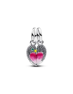 Charm Colgante Divisible en plata de ley Pájaros Amor