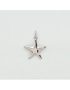 Colgante estrella de mar plateado | Agatha París