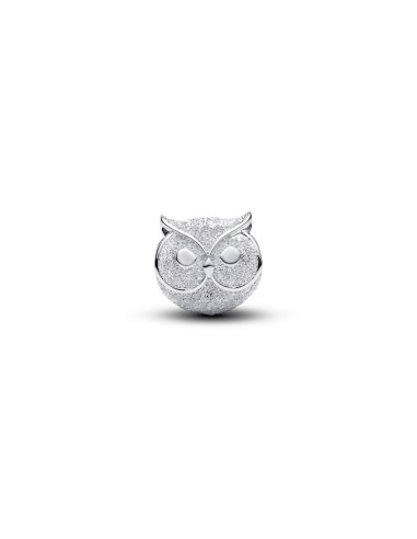 Charm Pandora mini búho detallado en plata 925 – 794525C00