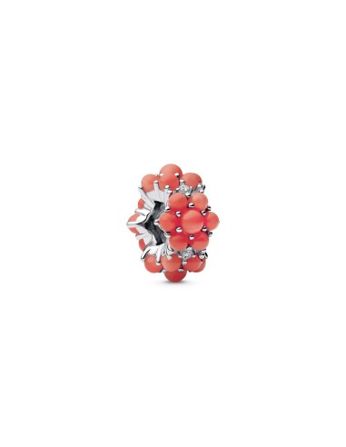 Charm Océano Color Coral en Plata de Ley con Circonitas – Pandora Moments