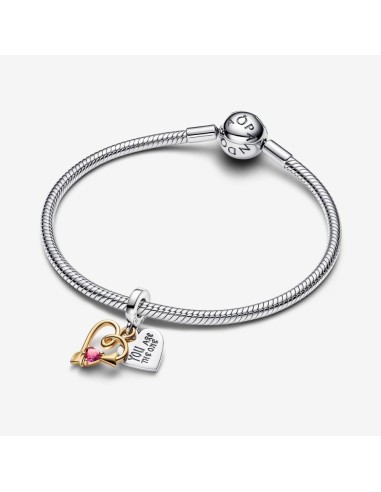 Colgante de Plata con Baño de Oro de 14k | Pandora