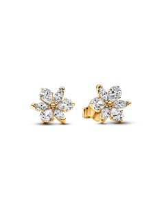 Pendientes de botón con un recubrimiento en oro de 14k Herbario Brillante​ 2