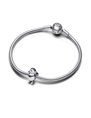 Charm en plata de ley Pingüino Esquiador