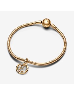 Charm Colgante con un recubrimiento en oro de 14k Zodiaco Acuario Pandora 2