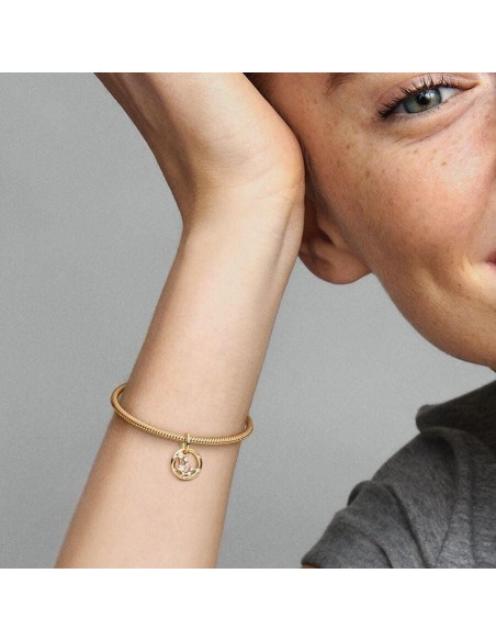 Charm Colgante con un recubrimiento en oro de 14k Zodiaco Acuario Pandora
