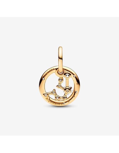 Charm Colgante con un recubrimiento en oro de 14k Zodiaco Acuario Pandora
