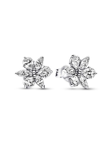 Pendientes de Botón en plata de ley Herbario Brillante Pandora