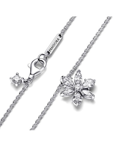 Collar en plata de ley Herbario Brillante 