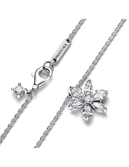 Collar en plata de ley Herbario Brillante 