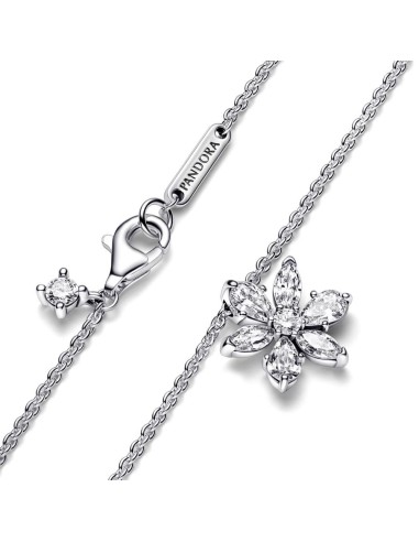 Collar en plata de ley Herbario Brillante 