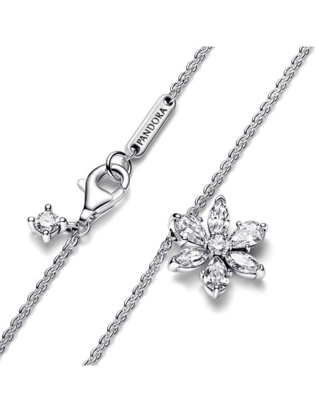 Collar en plata de ley Herbario Brillante 