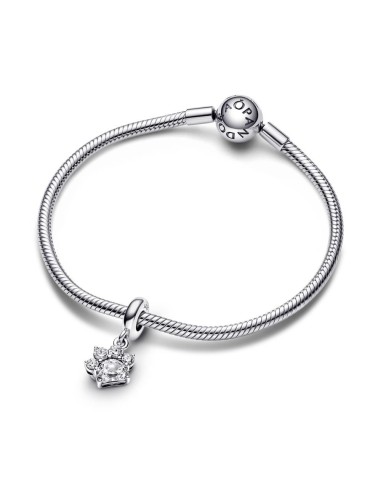 Charm Colgante en plata de ley Huella de Mascota Brillante Pandora
