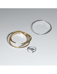 Anillo Corazón de Pandora en Plata de Ley con Diseño Orgánico 2