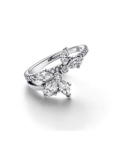 Anillo en plata de ley Herbario Brillante Asimétrico​ 2