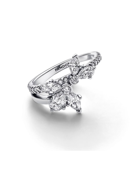 Anillo en plata de ley Herbario Brillante Asimétrico​